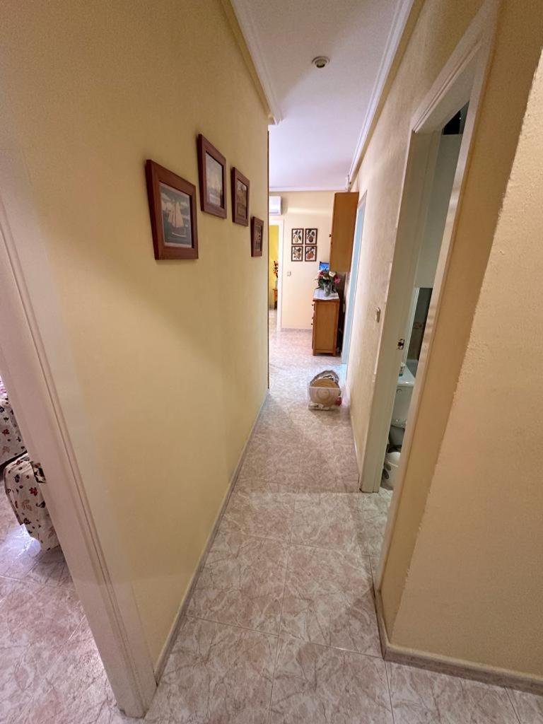 Torrevieja Precioso Apto En Calle San Pascual Con Piscina Cerca De Todos Los Servicios Eksteriør bilde